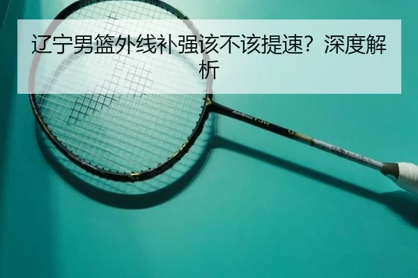 辽宁男篮外线补强该不该提速？深度解析